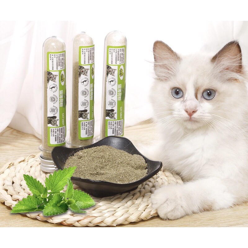 [Mã 66FMCGSALE hoàn 8% đơn 500K] [ RẺ VÔ ĐỊCH ] Cỏ mèo bạc hà Catnip cao cấp