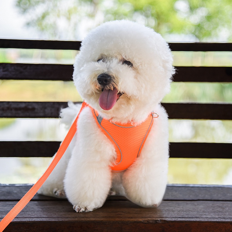 Dây Dắt Thú Cưng Đi Dạo Bằng Nilon Phản Quang Tùy Chỉnh Thoáng Khí 27Pets