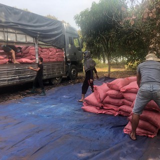 Phân Hữu Cơ PG201VS Vi Sinh, Phân Gà Ủ Hoai (1kg)