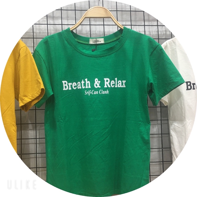 Áo Phông Nữ Phom Vừa ,Áo Nữ Cổ Tròn Chất Cotton