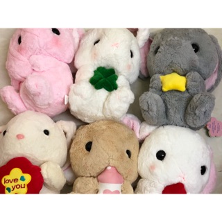 Thỏ cute đáng yêu (ảnh thật)