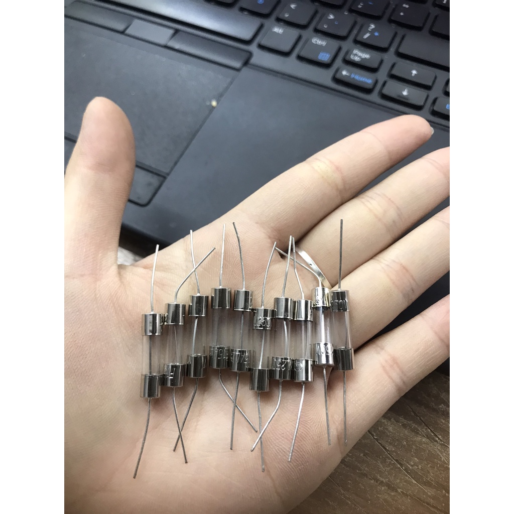 Combo 10 chiếc cầu chì thủy tinh loại :3A-5A-8A-10A-12A-15A