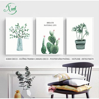 bộ tranh canvas cây, lá trang trí xanh, bộ 3 bức 40x60cm