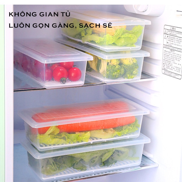 Hộp Thực Phẩm , Hộp Đựng Hoa Quả,Thực Ăn, Rau Củ Để Tủ Lạnh Bằng Nhựa PP Cao Cấp An Toàn Cho Sức Khỏe