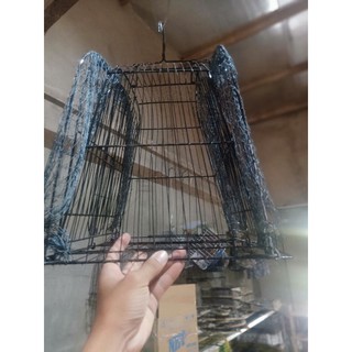 Lụp quốc cúm núm 2 mặt