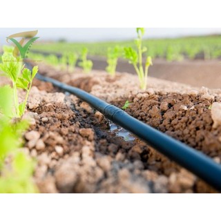 Dây nhỏ giọt tròn phi 16, khoảng cách 30cm, cuộn 50m