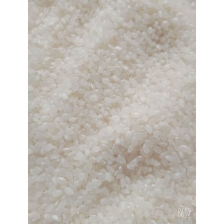 Gạo LÀI NHẬT(10kg)