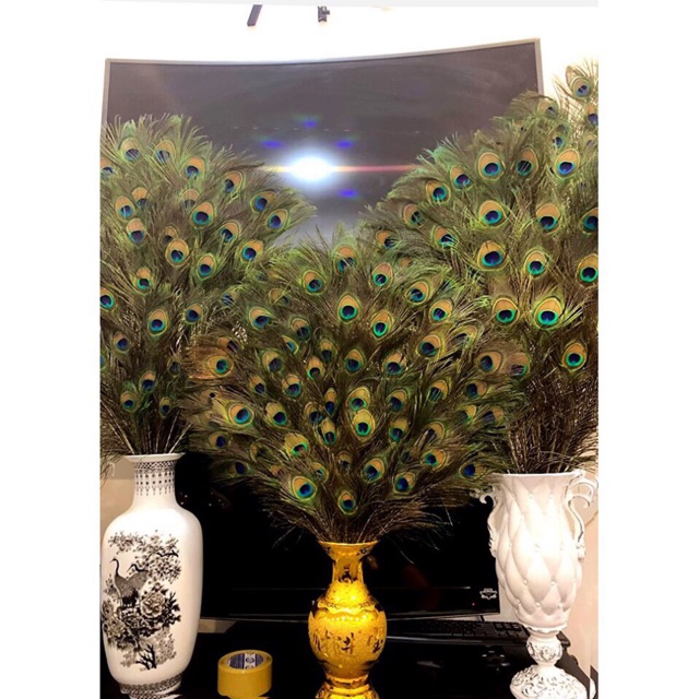 Combo 36 lông công loại mắt vừa 80-90cm 8k/1c | BigBuy360 - bigbuy360.vn