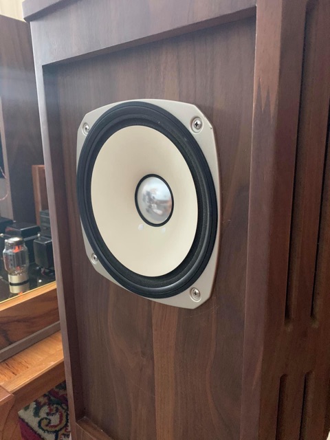 Cặp loa toàn dãi fostex 225