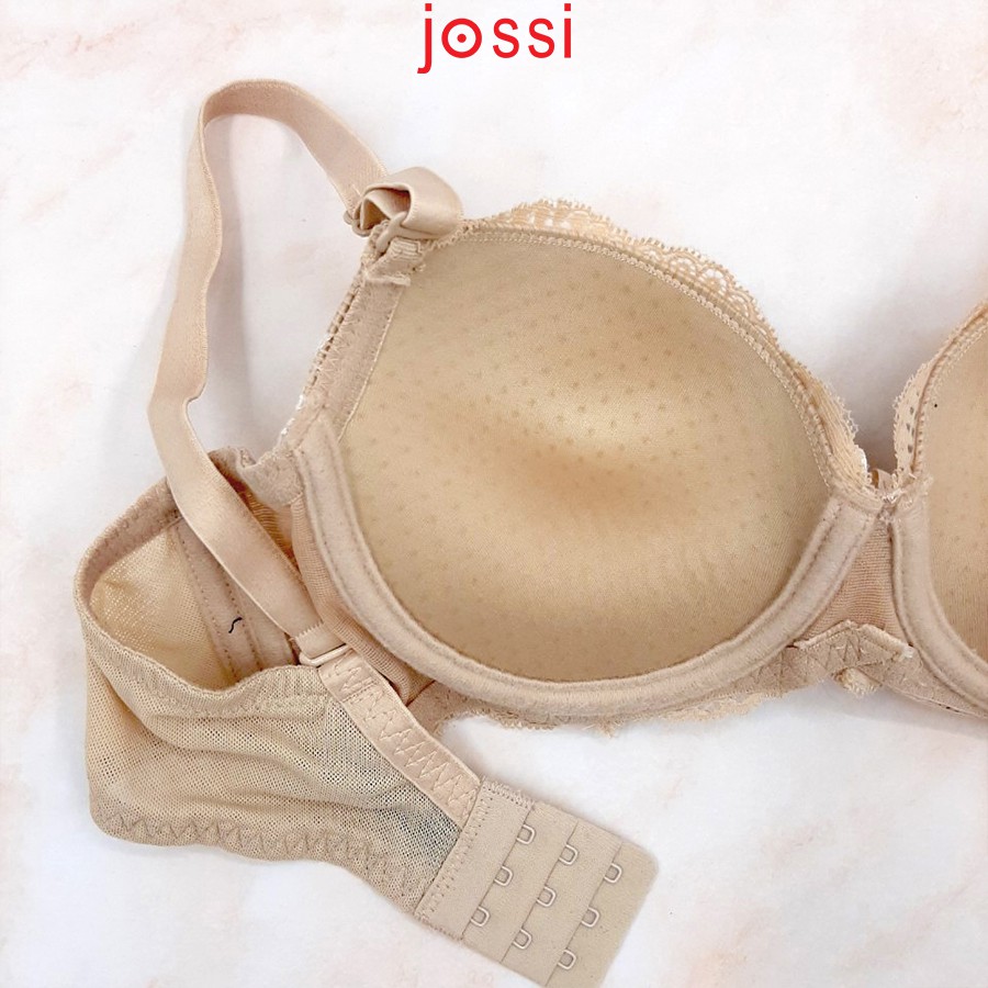 Áo lót Zanose 1071 ren mút dày cúp xéo, mút lỗ, 3 móc | BigBuy360 - bigbuy360.vn