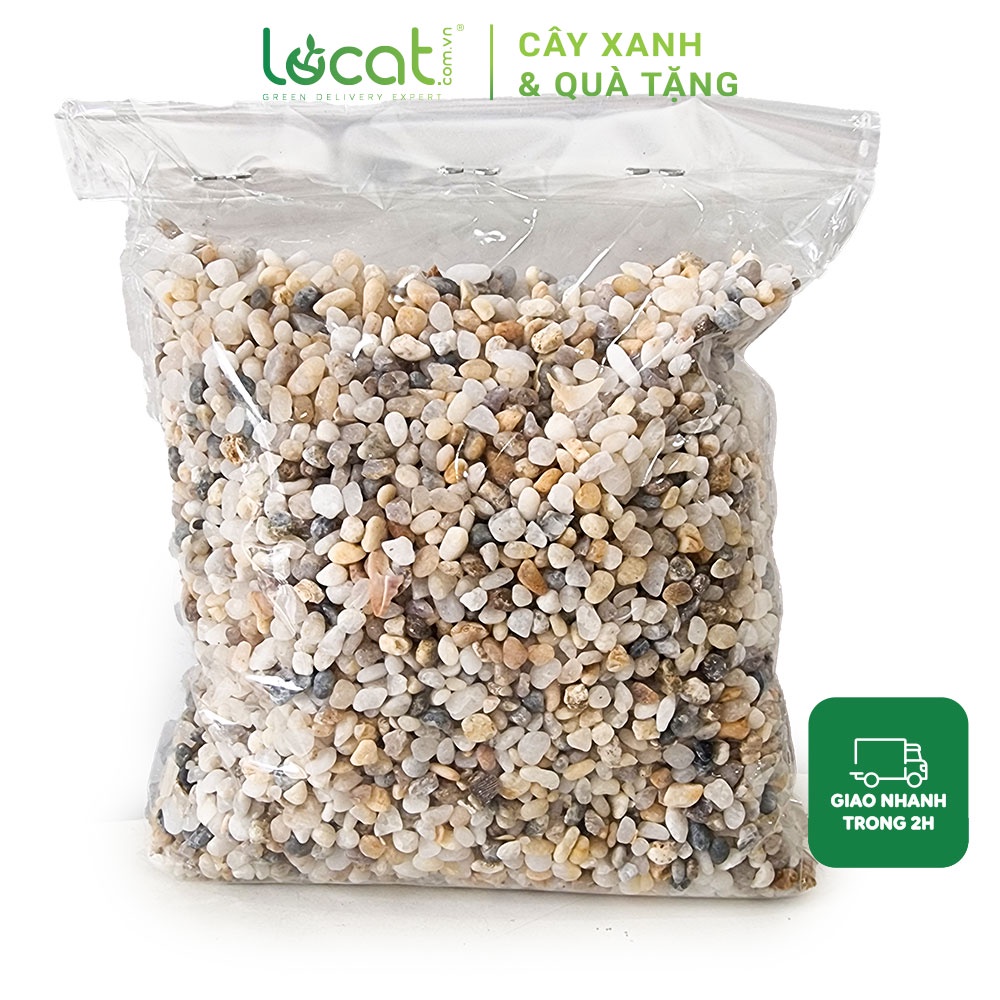 Sỏi nhỏ nhiều màu trang trí tiểu cảnh, trải mặt chậu cây cảnh để bàn