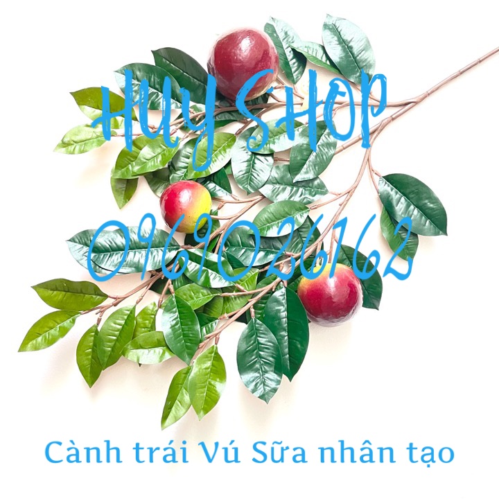 Cành Trái Mãng Cầu Ta - XOÀI - KHẾ - Đào Tiên - Vú Sữa nhân tạo trang trí nhà cửa