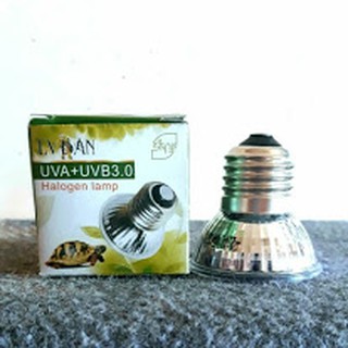 Đèn sưởi UVA + UVB 3.0 cho bò sát