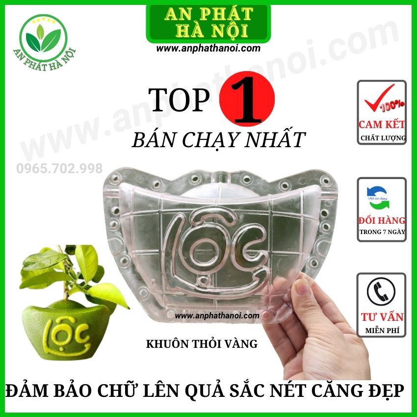 Khuôn Tạo Hinh Trái Cây -Khuôn Bưởi hình Thỏi Vàng, Hồ Lô, Giọt Nước, Tiểu Đồng Loại Đẹp, dày, in chữ Tài Lộc Nét, bền