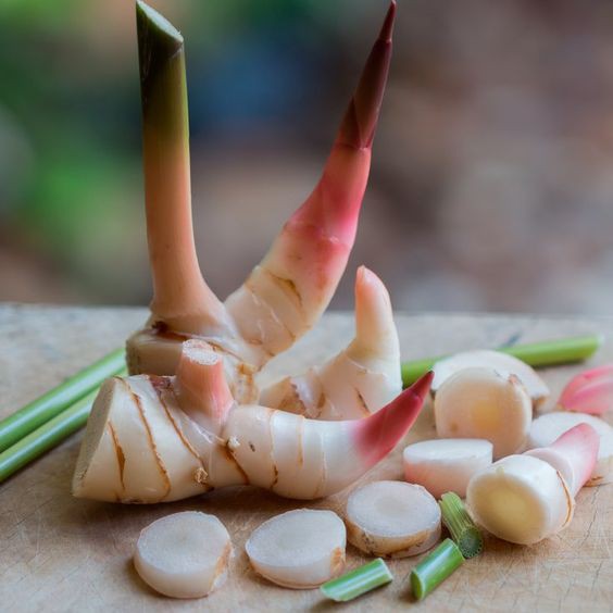 Bột giềng / riềng 100g - Galangal Powder