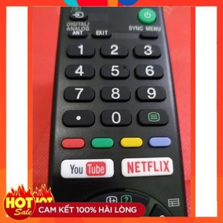 (HÀNG XUẤT MALAYSIA) REMOTE TIVI SONY LCD SMART tx300p,1370!