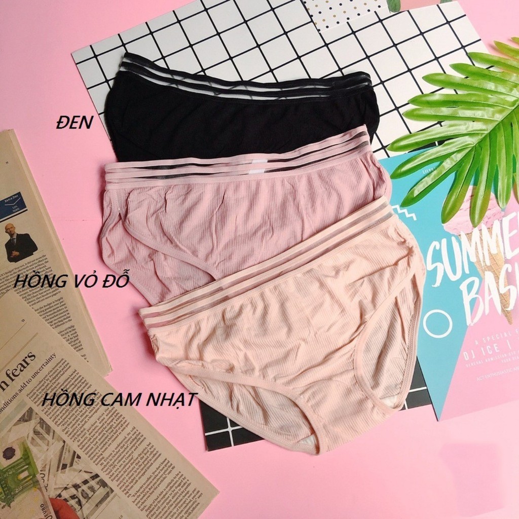 Set 5 quần lót nữ gân mềm cạp siêu mỏng chống hằn T972