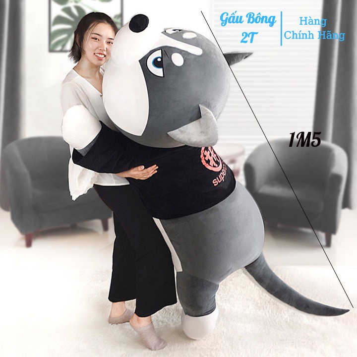 Gấu bông chó husky siêu to khổng lồ siêu đáng yêu. G02