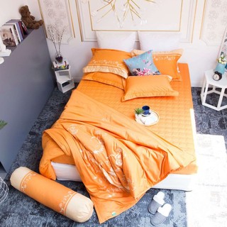 Bộ Ga Bọc Chần Gòn Cotton Solid Edena 367