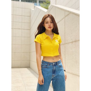 Áo Croptop Hoa Cúc
