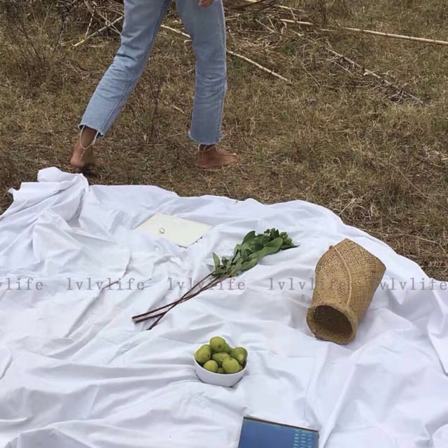 Thảm picnic