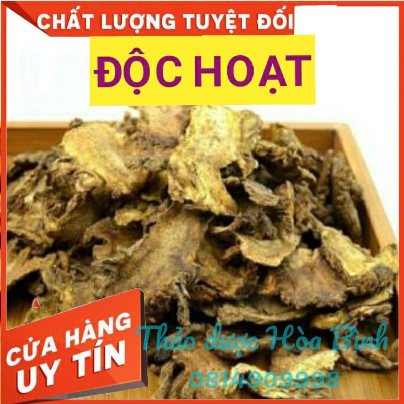 Độc Hoạt 100g - Hàng chuẩn, chất lượng 1, mới, thơm
