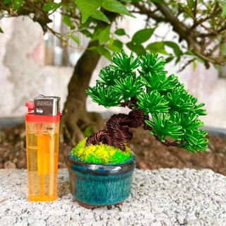 Shop Chậu Mini