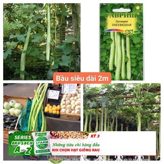Hạt giống bầu dài 2m Bầu Siêu Dài 5 Hạt