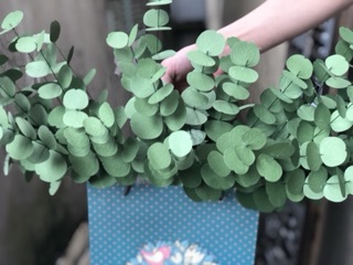 Lá táo giấy
