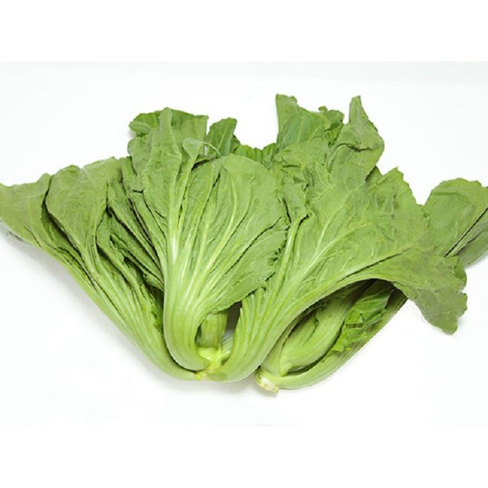 HẠT GIỐNG CẢI BẸ DƯA (TÒA XẠI) - GÓI 20 GRAM