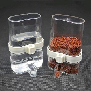 Combo 4 Cóng Đựng Thức Ăn, Nước Uống Cho Chim, Bình Nước Tự Động Cho Chim Cảnh