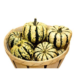 Mô tả sản phẩm Bí ngô baby trắng sọc xanh