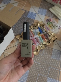 Sơn gel habo