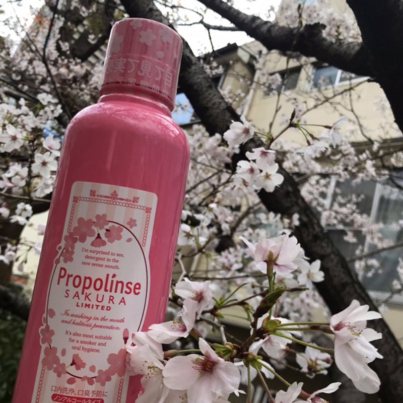 Nước súc miệng Propolinse Pieras không cồn hương Sakura 600ml - Hachi Hachi Japan Shop