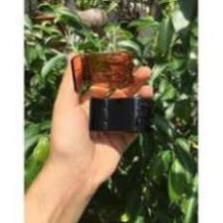Kẹp tóc càng cua 5 răng, 3 răng ( Đen + nâu + trog suốt)