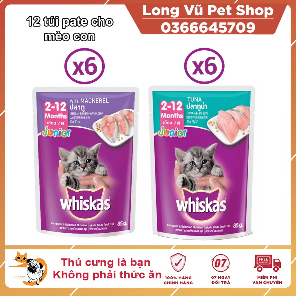 Combo 12 túi mix 2 vị thức ăn pate cho mèo con Whiskas 85g/túi