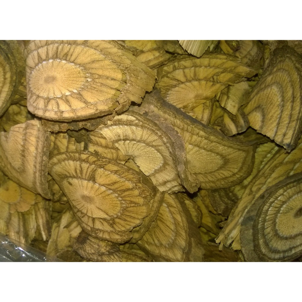 1 kg Dây gắm chữa bệnh Gút (Gout)