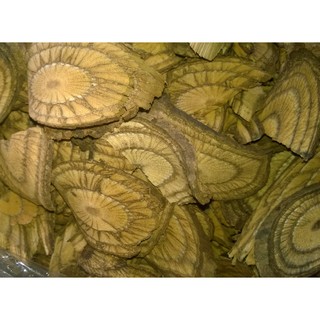 1 kg Dây gắm chữa bệnh Gút (Gout)