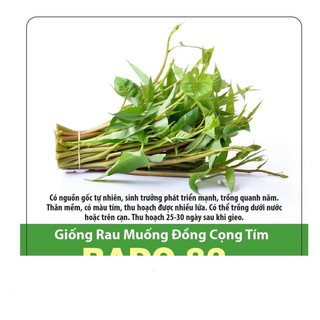 Hạt giống rau muống đồng cọng tím 10gr