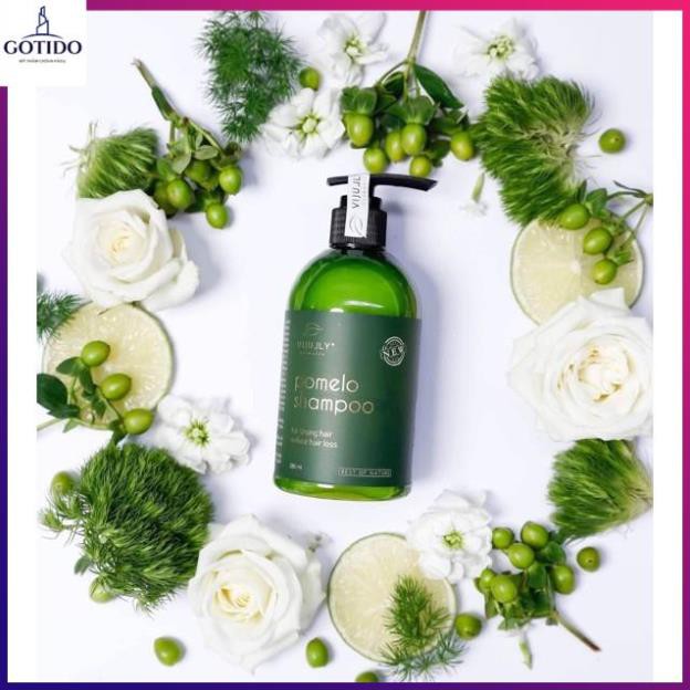 Dầu Gội Trị Rụng Tóc chiết xuất từ Bưởi ViJully 280ml-Kích Thích Mọc Tóc- Giảm gàu, nuôi chân tóc khỏe | BigBuy360 - bigbuy360.vn