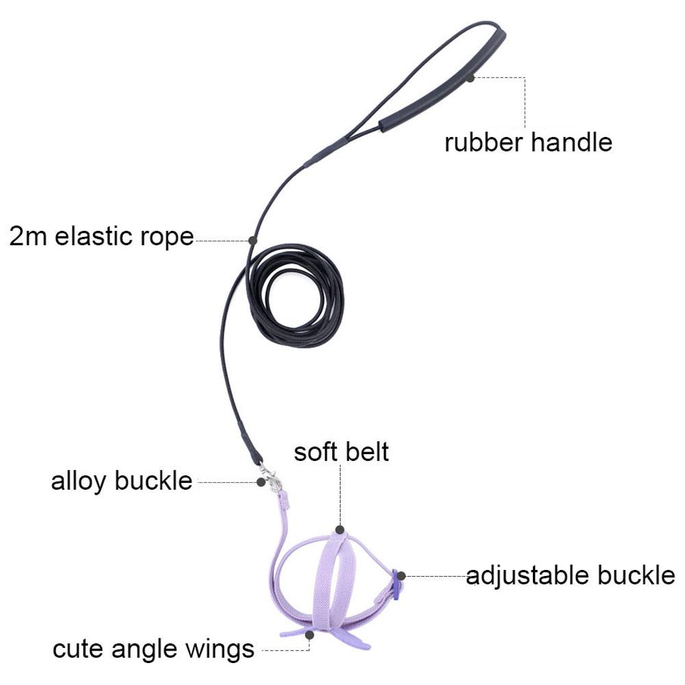 Dây Huấn Luyện Chim Chống Cắn Thiết Kế Dễ Thương Tiện Dụng