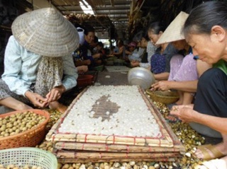 Long Nhãn số 1 Hưng yên