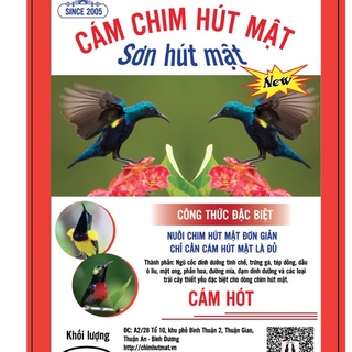 [Cám HÓT ĐẤU] Cám hút mật / CÁM CHIM HÚT MẬT CAO CẤP