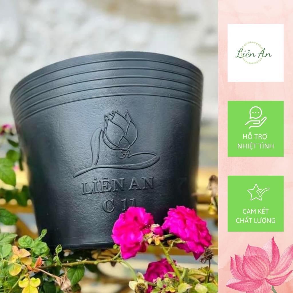 Chậu nhựa đen mềm Liên An trồng cây bền, đẹp 7000g C11 - 100c11