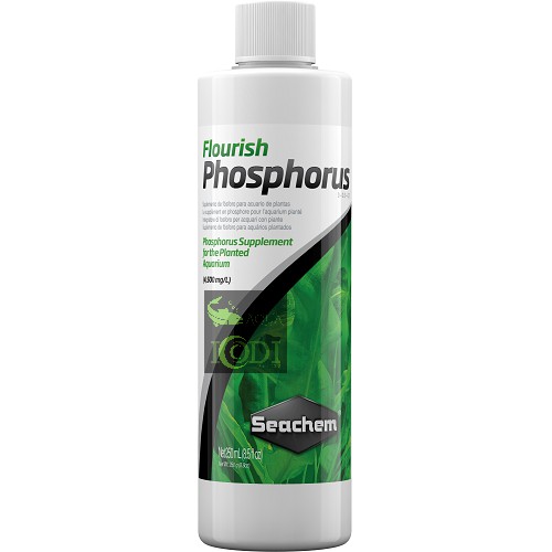 Phân nước Seachem Flourish Phosphorus 100ml 250ml 500ml