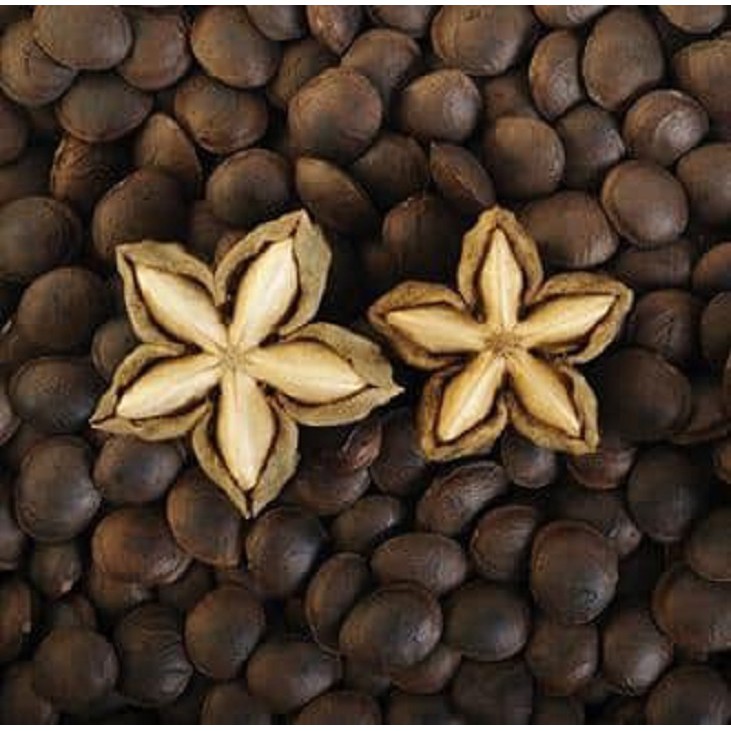 500gr Hạt Sachi Organic