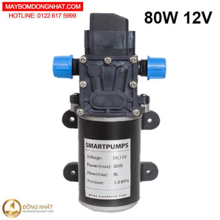 Bơm nước mini áp lực 12V 80W