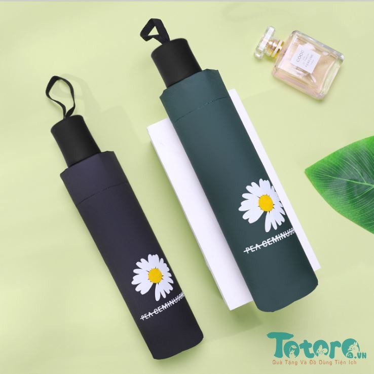 Ô hoa cúc chống tia uv