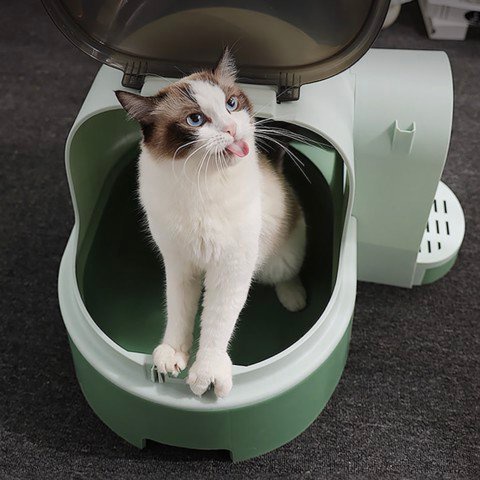 Chậu cát Space cho mèo