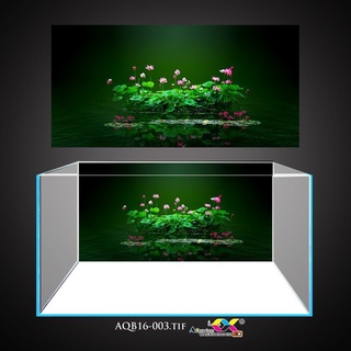 Tranh 3D dán hồ cá mẫu hoa sen siêu đẹp, tạo điểm nhấn, tranh có keo sẵn trên bề mặt, có thể làm theo kích thước yêu cầu